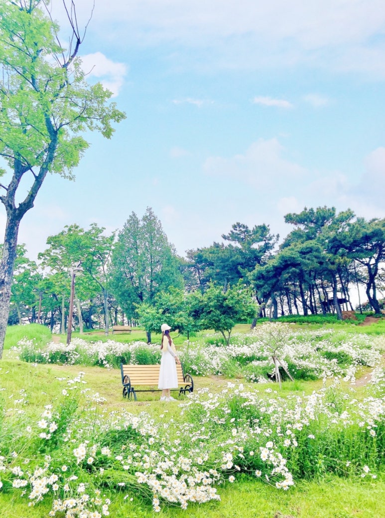 서문산림 이미지