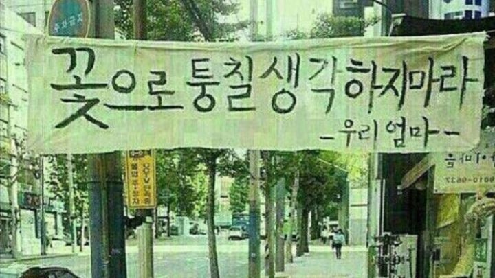 해녀의밥상 이미지