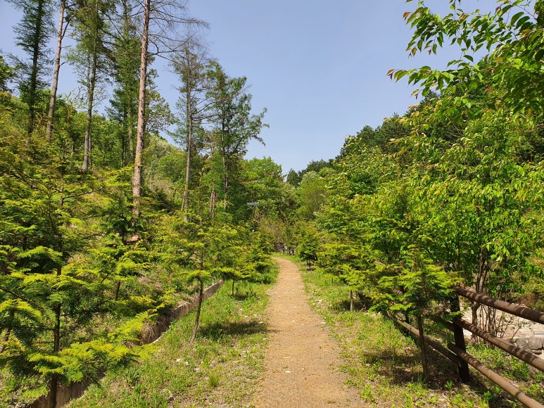 시골순대 이미지