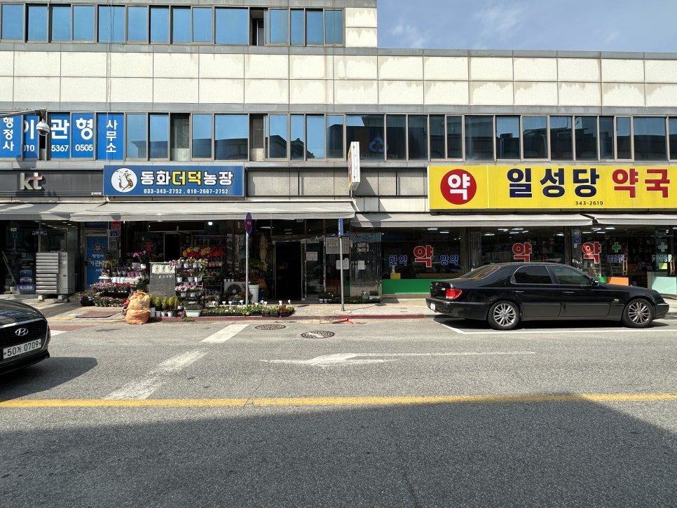 횡성더덕동화농장 이미지