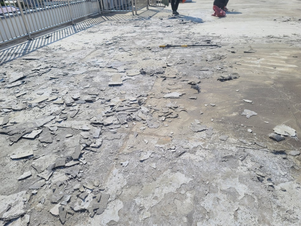 곽금초등학교 이미지