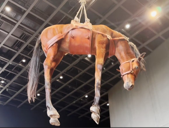전진문화사 이미지