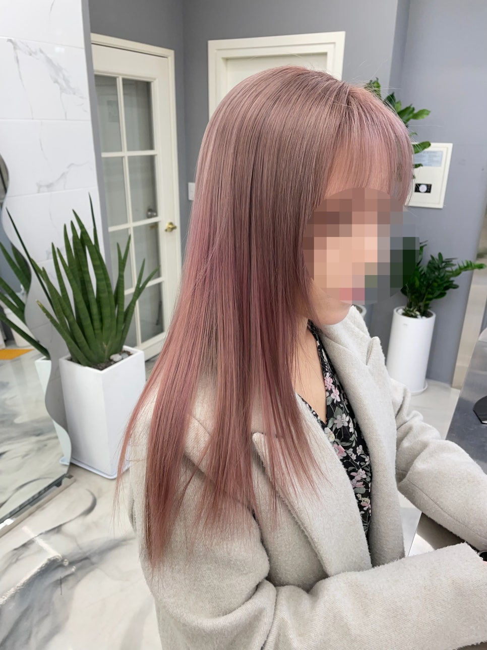 살롱드비율 이미지