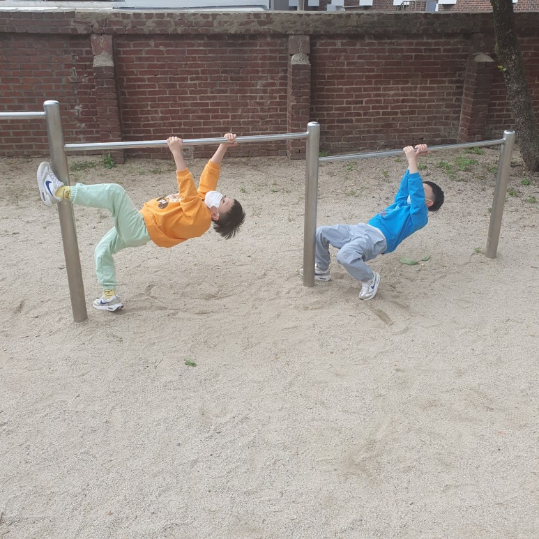 날아라킹콩 이미지
