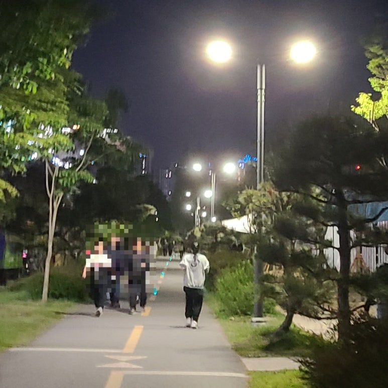 달려라박여사 이미지