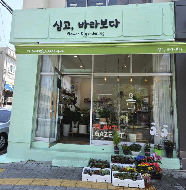 심고;바라보다 이미지