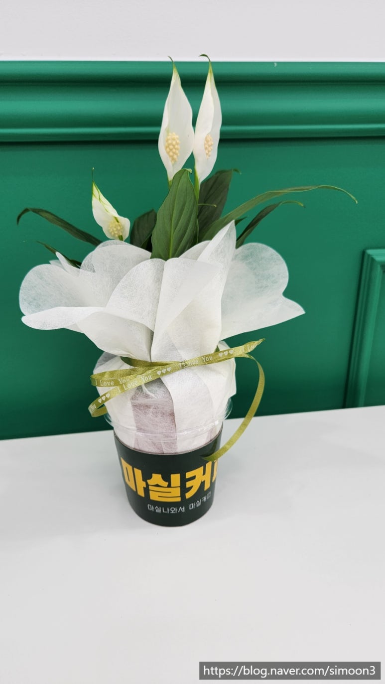 마실커피 뉴타운점 이미지