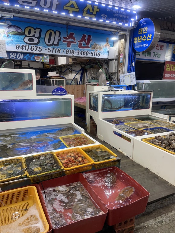 영아수산 이미지
