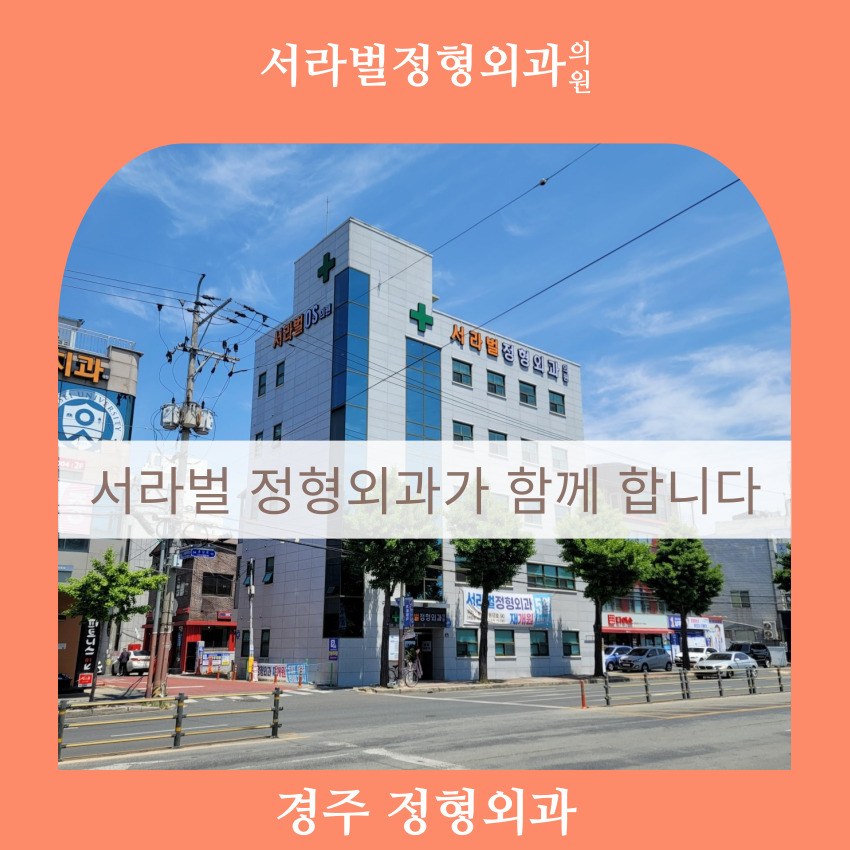 서라벌정형외과 이미지