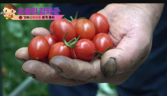 강화섬푸드 이미지