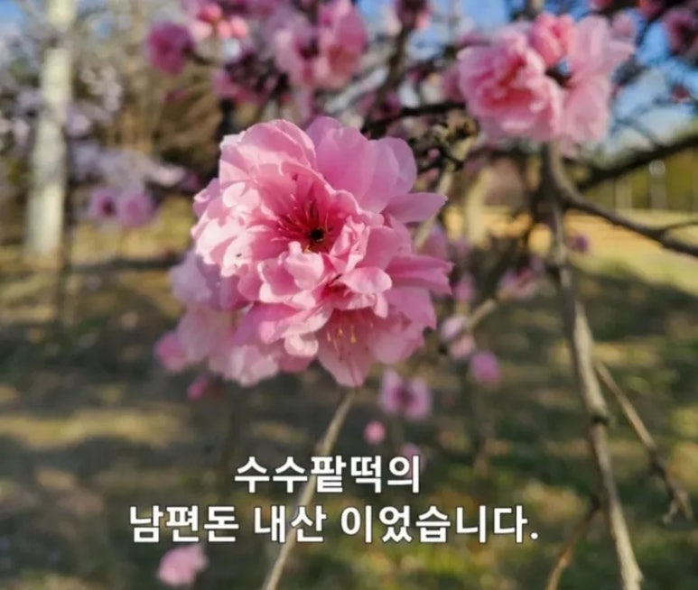 대학로한식뷔페2 이미지