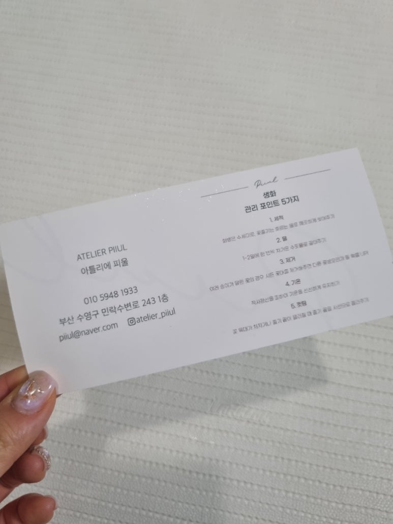 아틀리에피울 이미지