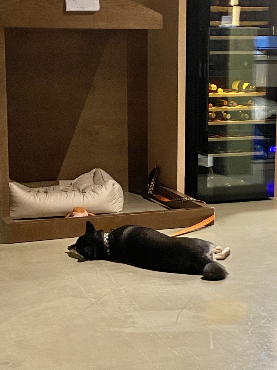 신동와인주 이미지