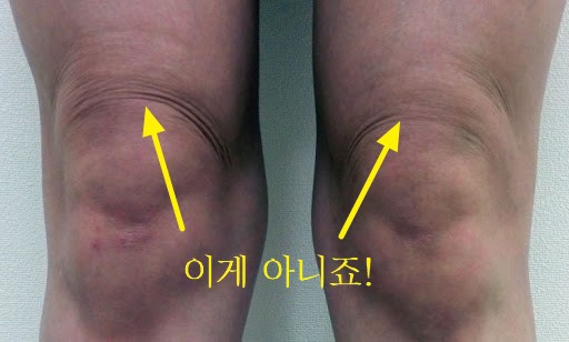 필사이언스 이미지