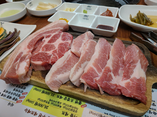 거북이동네창원 이미지