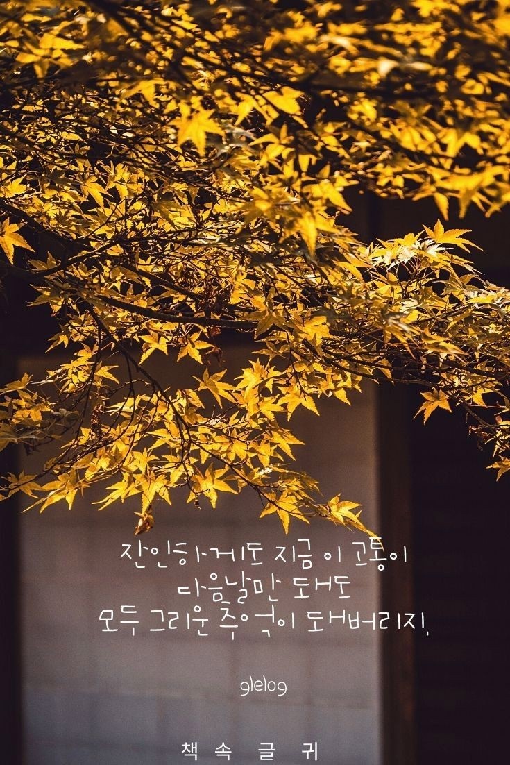 강릉방향 동군포IC 이미지