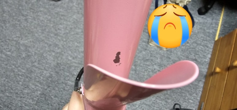 필일렉 이미지
