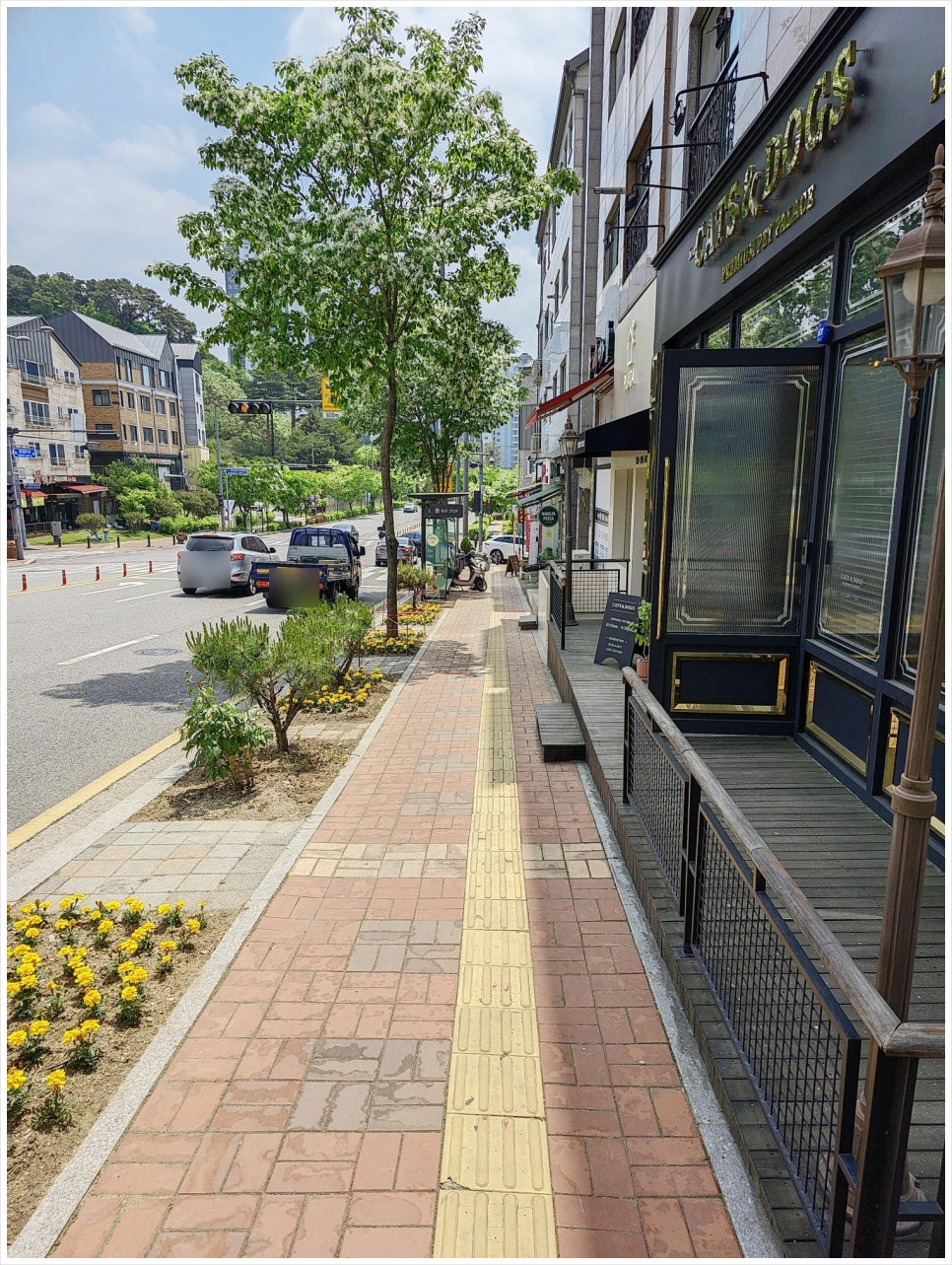 플라타디자인 이미지