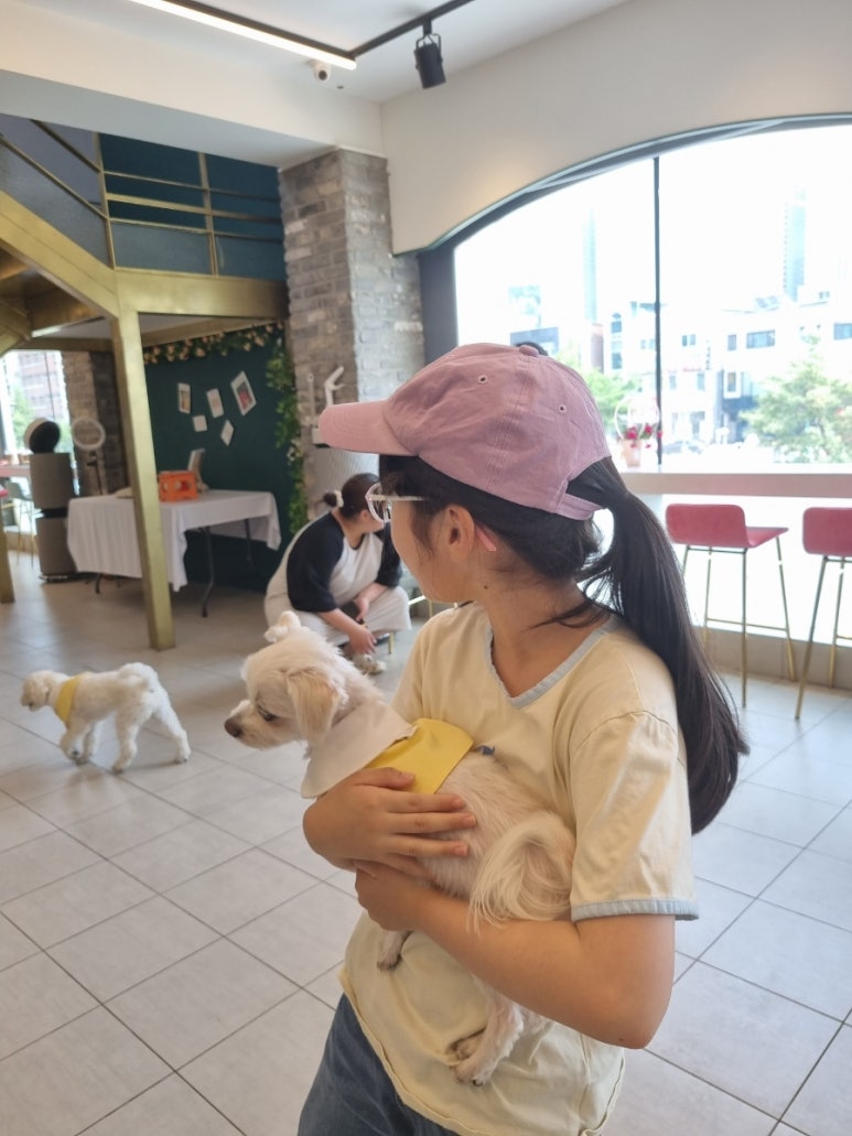 수려하개 이미지