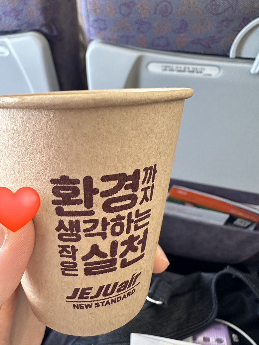 라이조크 이미지