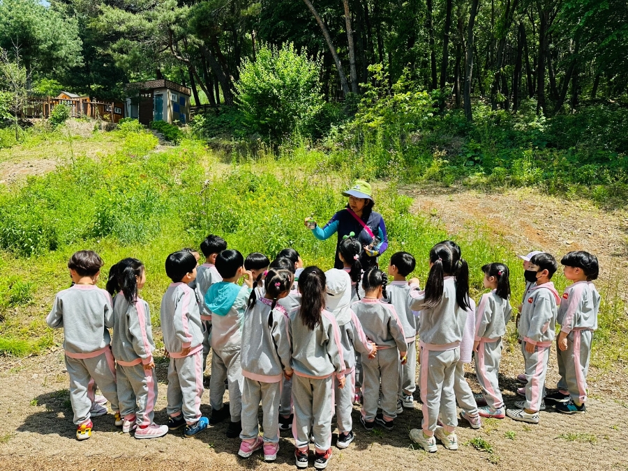 성산 유아숲체험원 이미지