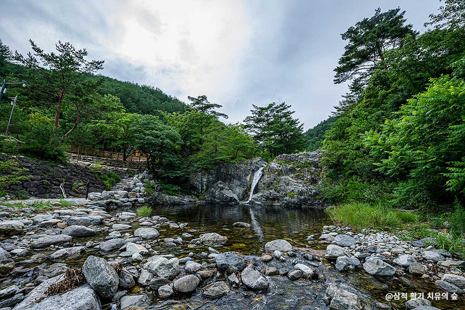 삼척 활기 치유의 숲 이미지