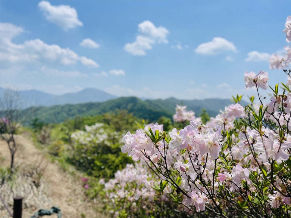 가나안농산 이미지
