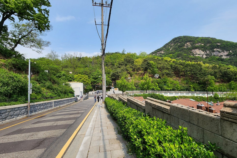 등산로 없는 산 이미지