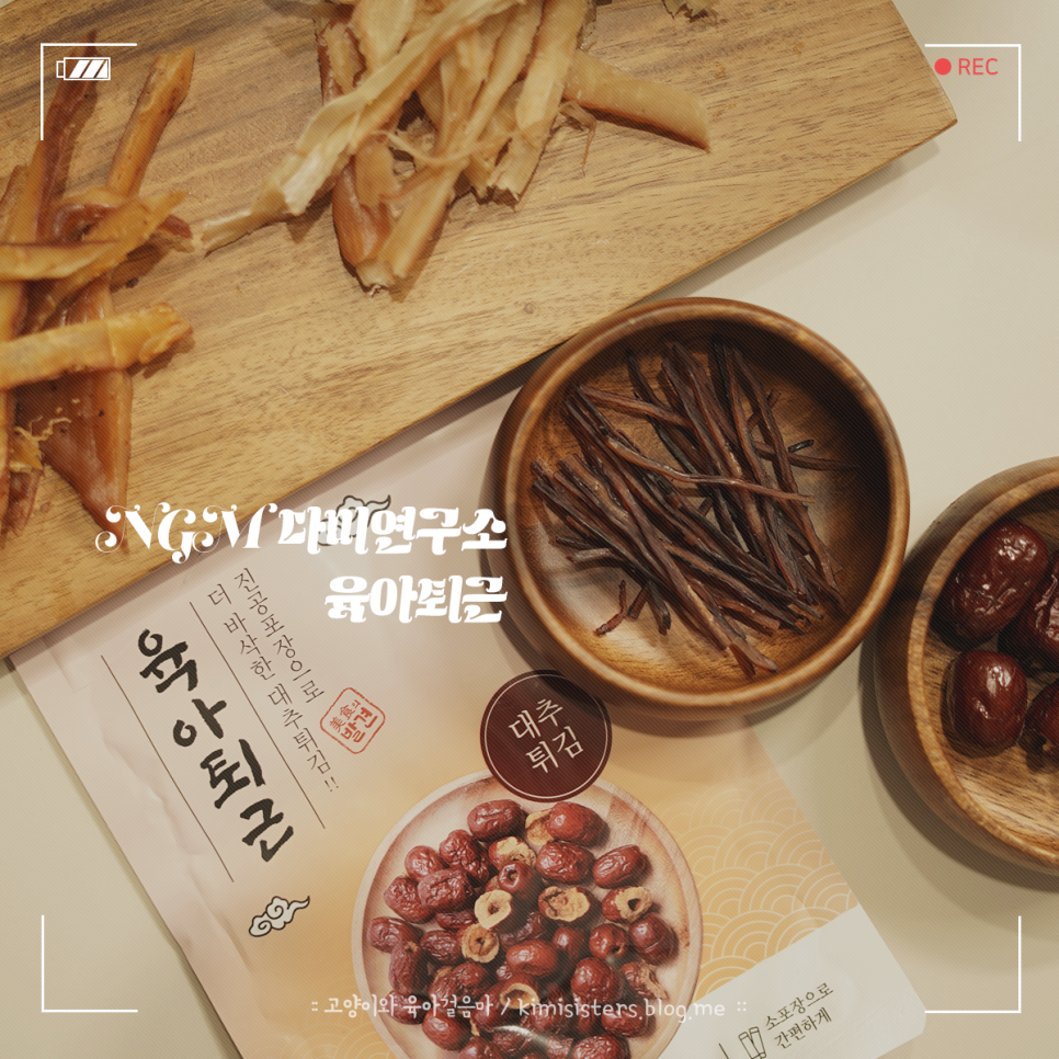 다미연구소 이미지