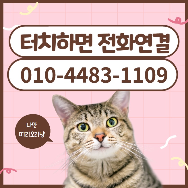 앙떡 이미지