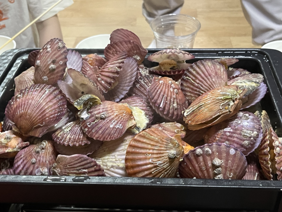 참조아 이미지