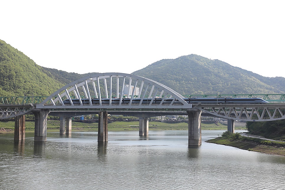 (주)여행버스 이미지