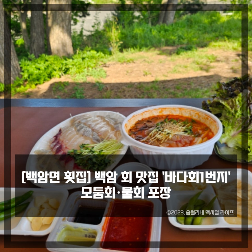 회1번지 이미지