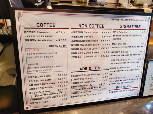 노부스테라 이미지