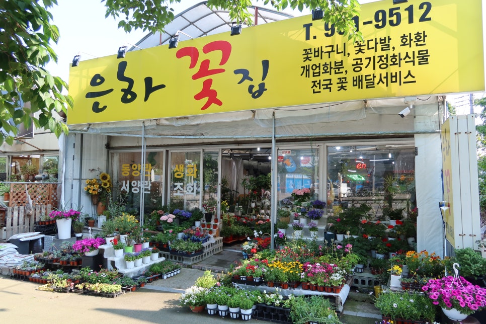 은하꽃집 이미지