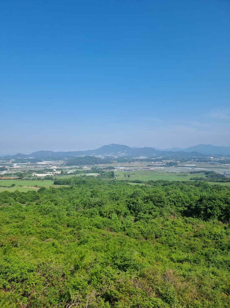 산철죽 군락지 이미지