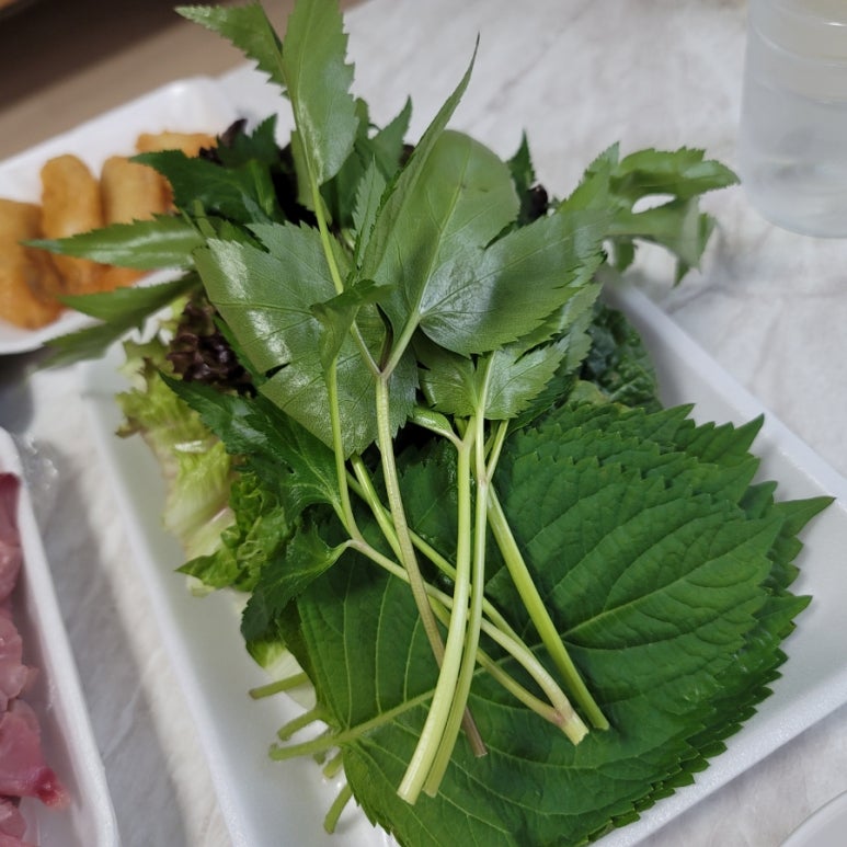 인생향어맛집 이미지
