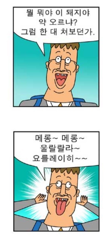 셀레브르 이미지