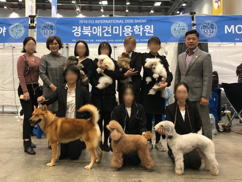 구미펫직업훈련학원 이미지