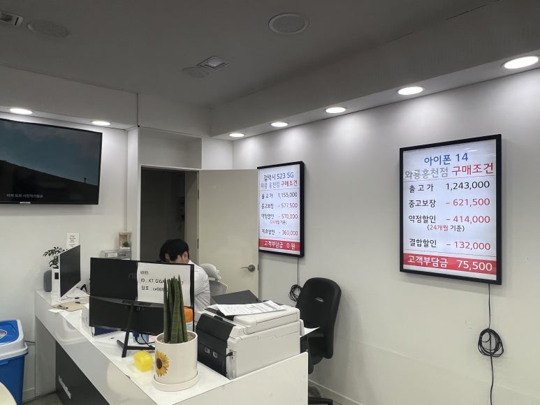 와룡홍천 이미지
