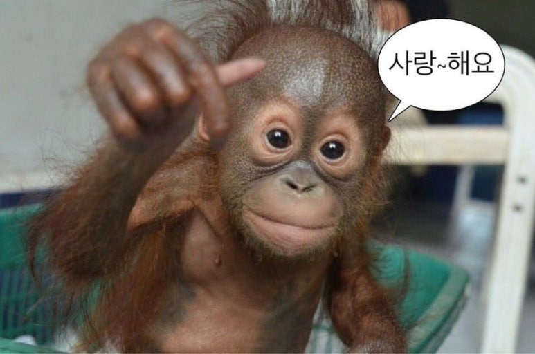 만복국수집명지 이미지