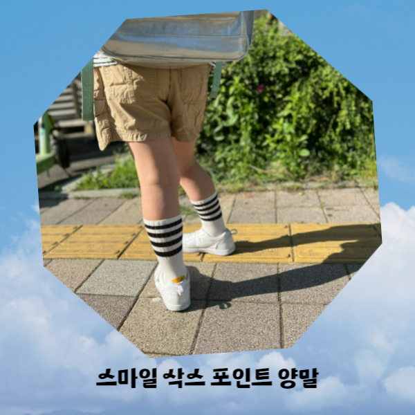 코코마뇽 이미지