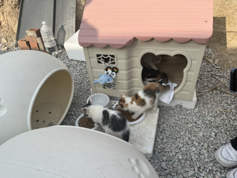 산정호수글램핑 이미지