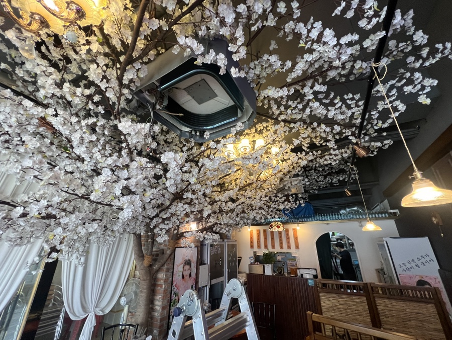 파더스클린 이미지