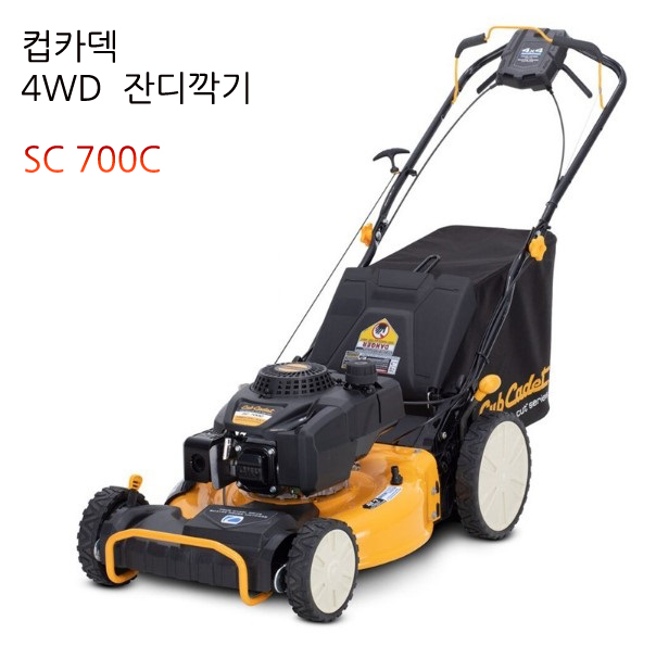 대일카 이미지