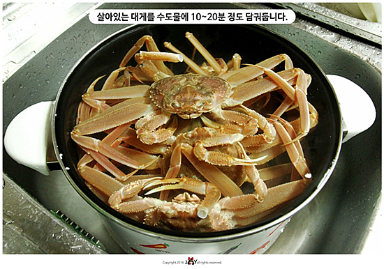 사상 대게 수산 이미지