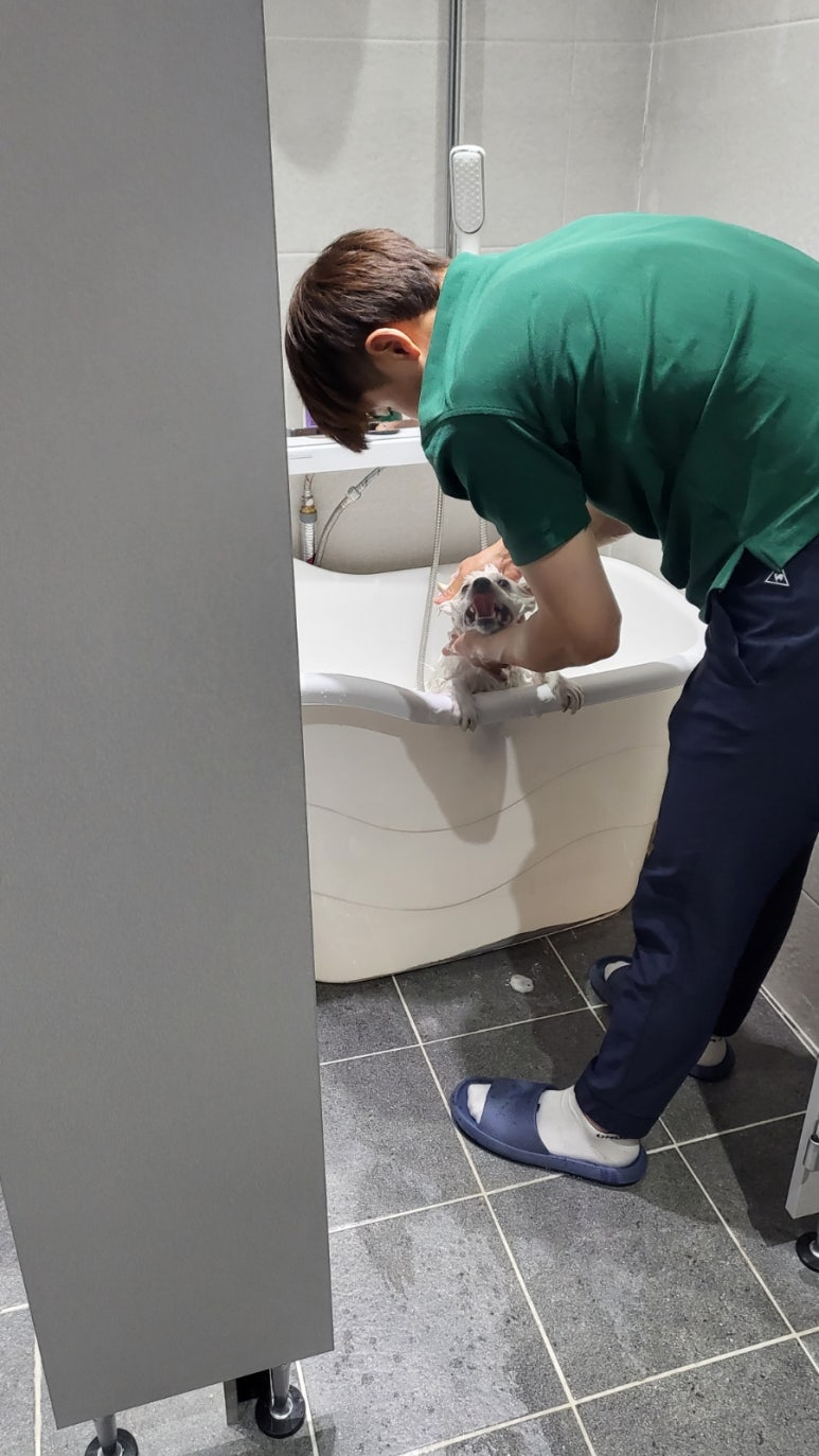 카페독채 이미지