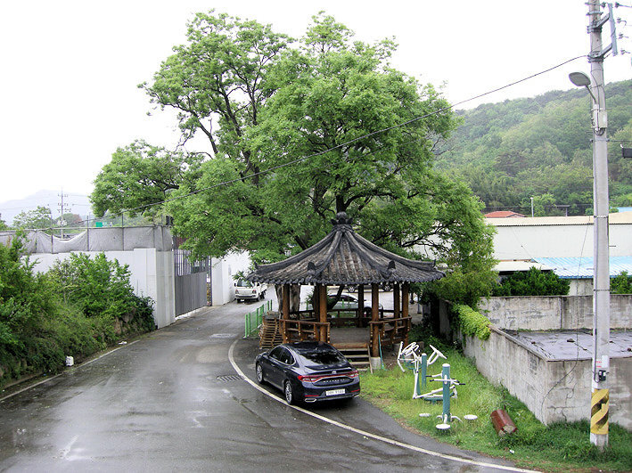 사인당 이미지