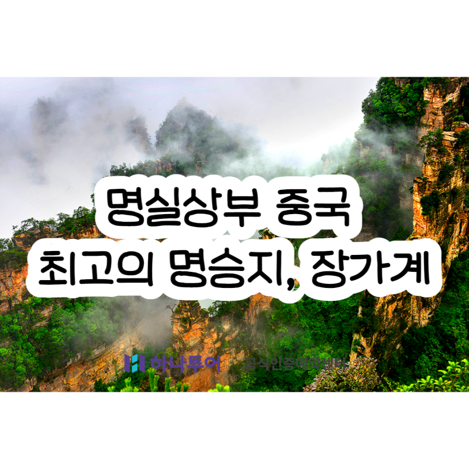 이화여행사 이미지