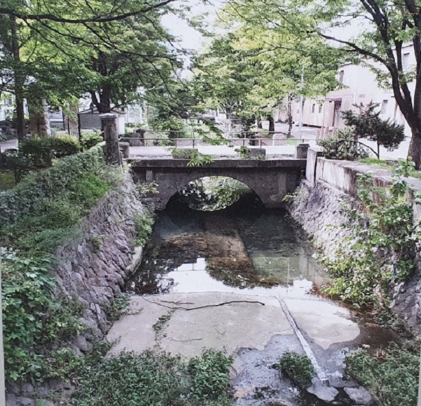 해화무 이미지